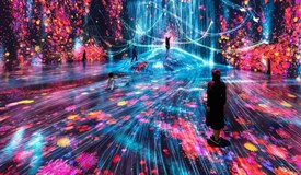 Ausstellung teamLab Borderless
